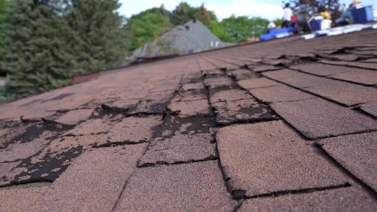Best Roof Inspection  in Wyoming, OH